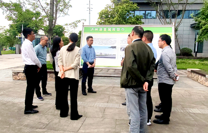 �����鿴����