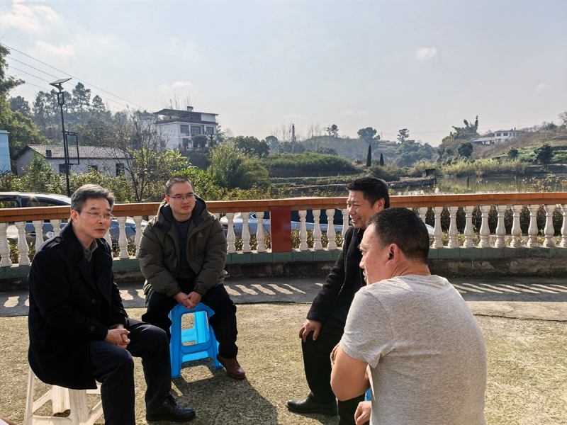 �����鿴����